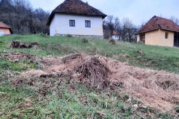 Dragan prodaje dve kuće i plac u Kosjeriću za 15.000 evra! Daleko od gradske buke, ušukano u prirodu i mir