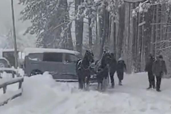 DŽABA AUTOMOBILI I MODERNI KOMBI, NIŠTA BEZ ZAPEGE SA KONJIMA: Samo su oni mogli da pomognu vozaču na Zlatiboru!