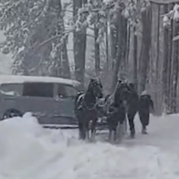 DŽABA AUTOMOBILI I MODERNI KOMBI, NIŠTA BEZ ZAPEGE SA KONJIMA: Samo su oni mogli da pomognu vozaču na Zlatiboru!
