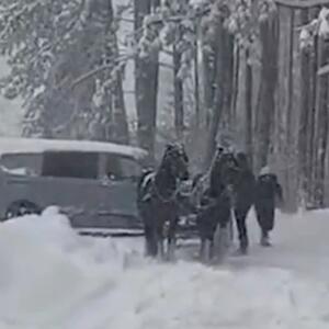 DŽABA AUTOMOBILI I MODERNI KOMBI, NIŠTA BEZ ZAPEGE SA KONJIMA: Samo su oni mogli da pomognu vozaču na Zlatiboru!