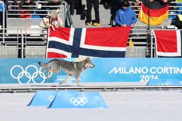On je zaslužio olimpijsku medalju! Prošao kroz cilj, dobio ovacije, liči na vuka, a sad je postigao uspeh kao rođak