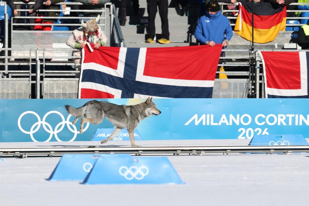 On je zaslužio olimpijsku medalju! Prošao kroz cilj, dobio ovacije, liči na vuka, a sad je postigao uspeh kao rođak