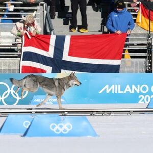 On je zaslužio olimpijsku medalju! Prošao kroz cilj, dobio ovacije, liči na vuka, a sad je postigao uspeh kao rođak