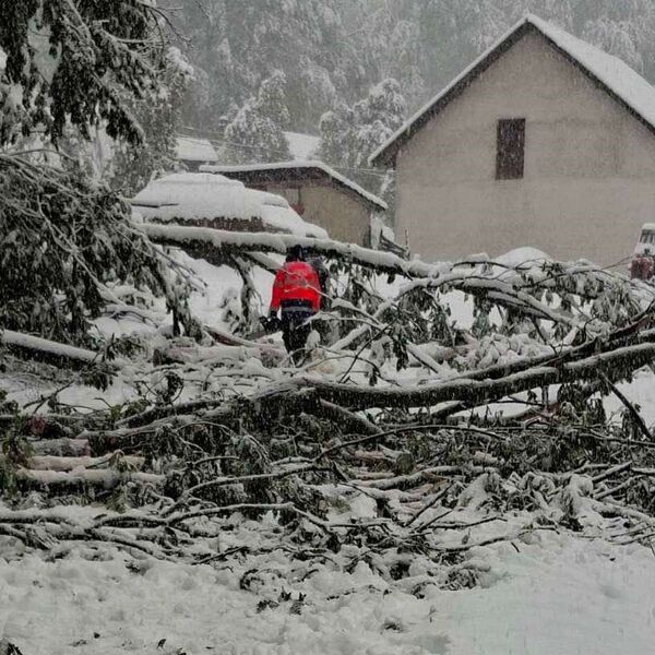 Stigla struja u skoro sve domove u ovom delu Srbije: Snežne padavine napravile haos