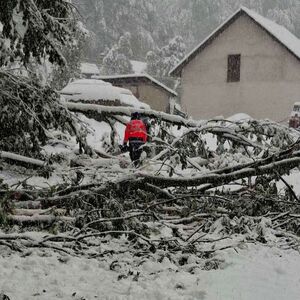 Stigla struja u skoro sve domove u ovom delu Srbije: Snežne padavine napravile haos