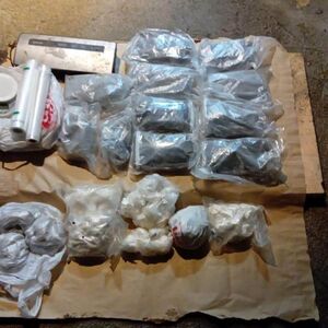 Panta držao preko 10 kila droge u dvorištu u Zemunu: Policija upala unutra i našla tačno ovo