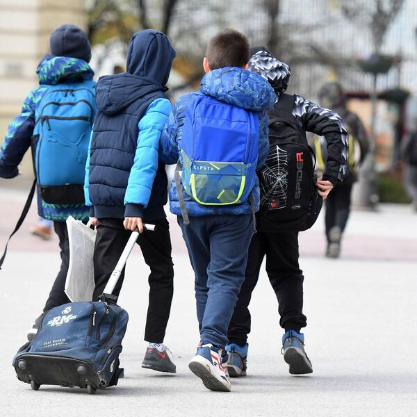 Važno obaveštenje Ministarstva prosvete! Tiče se predmeta biologije, geografije, istorije, fizike i hemije