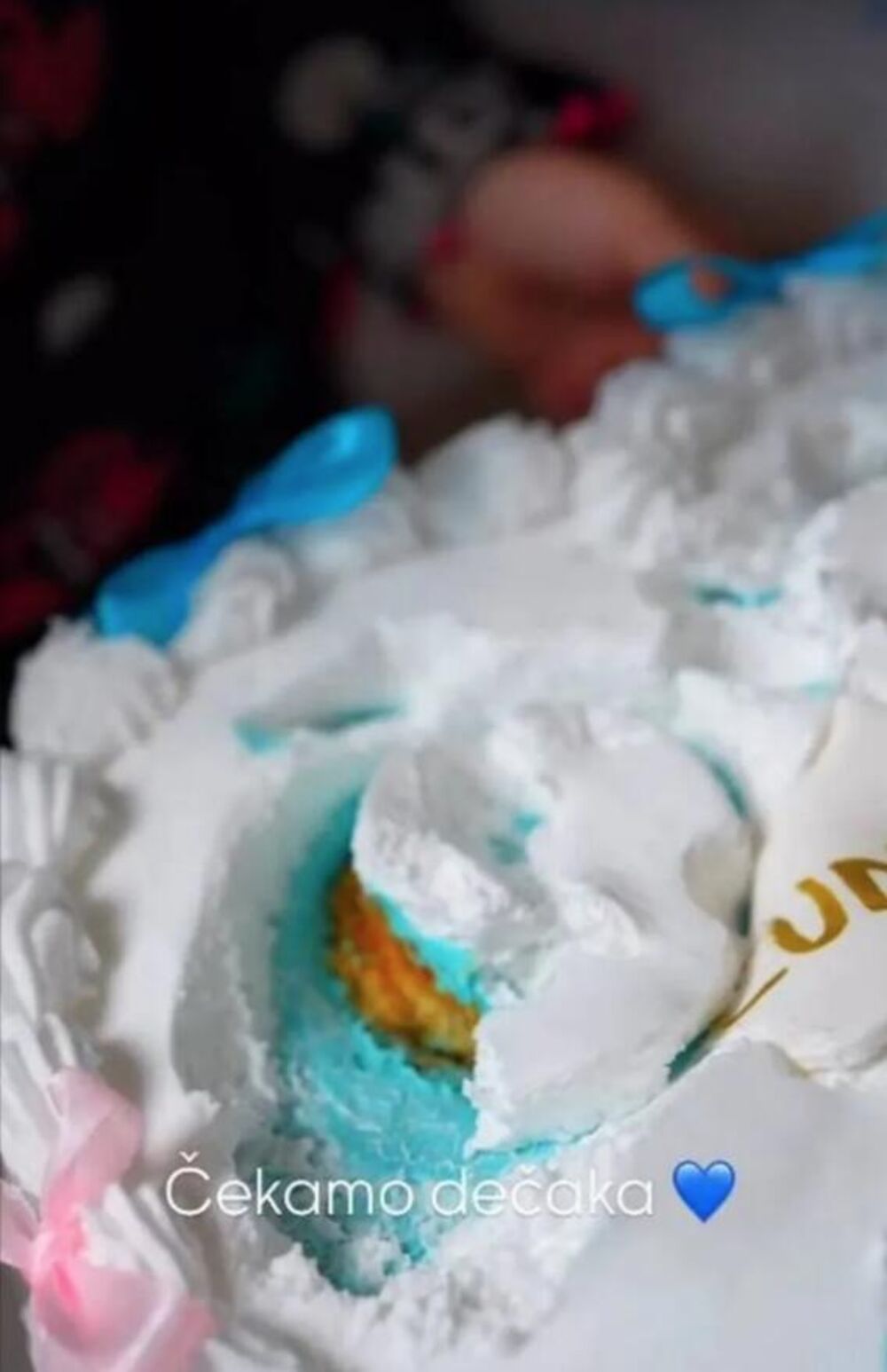 Dejana čeka drugo dete