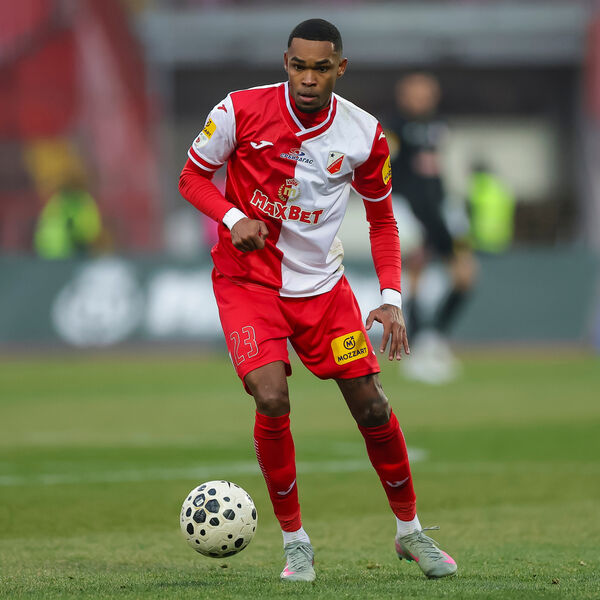 Paunović ne želi stranca u reprezentaciji, za sada...