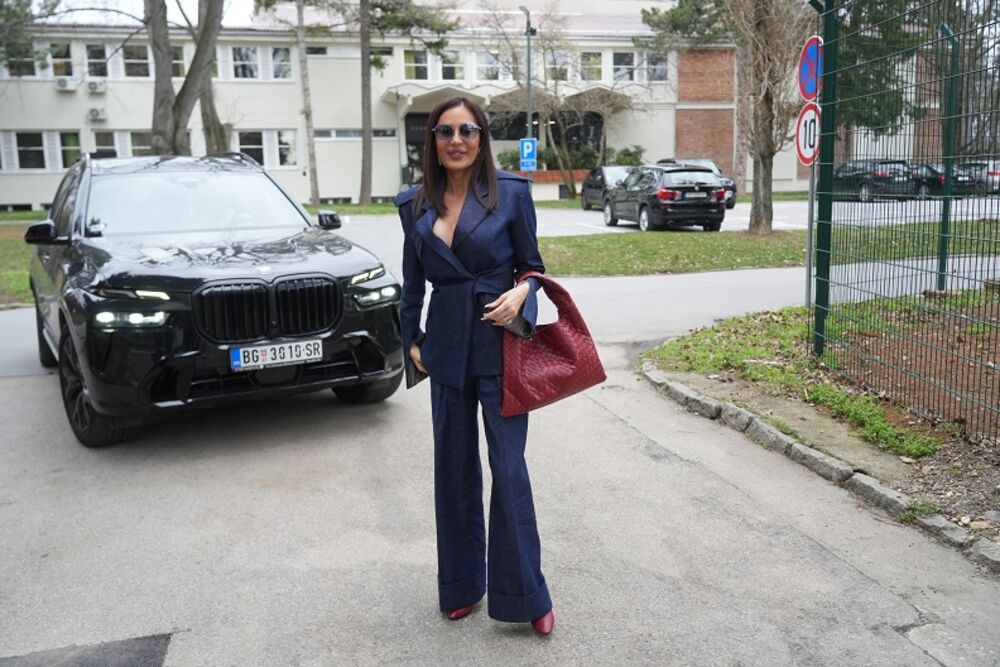 Svetlana Ceca Ražnatović, Ceca Ražnatović