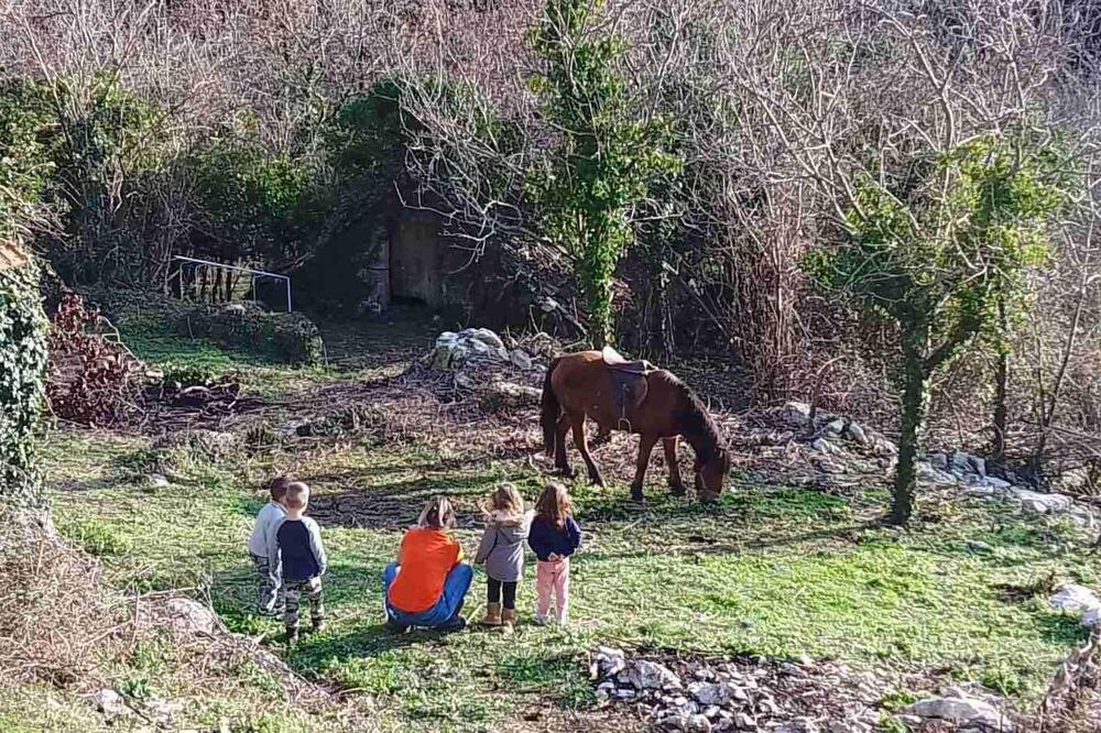 Meštani Svrčuge krenuli renoom za Pariz po ovu stvar! O ovom selu bruji Balkan, nemaju uličnu rasvetu, ali zato..