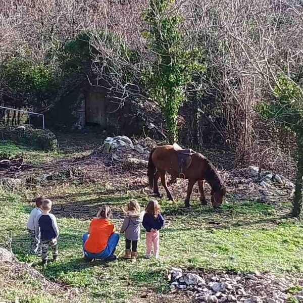 Meštani Svrčuge krenuli renoom za Pariz po ovu stvar! O ovom selu bruji Balkan, nemaju uličnu rasvetu, ali zato..