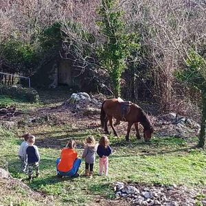 Meštani Svrčuge krenuli renoom za Pariz i po ovu stvar! O ovom selu bruji Balkan, nemaju uličnu rasvetu, ali zato..