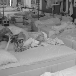 PRED PUNOM SOBOM AKCIJALI! Cimerka ih prekinula usred intime, ONI JOŠ JAČE UDARILI: "Vidi šta radi HEFTAČICA"