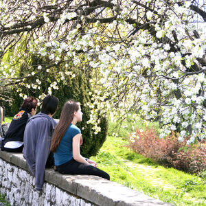 Posle prolećnih temperatura, sledi pravi preokret u martu: Kiša i pad temperature kreće od ovog datuma, a onda...