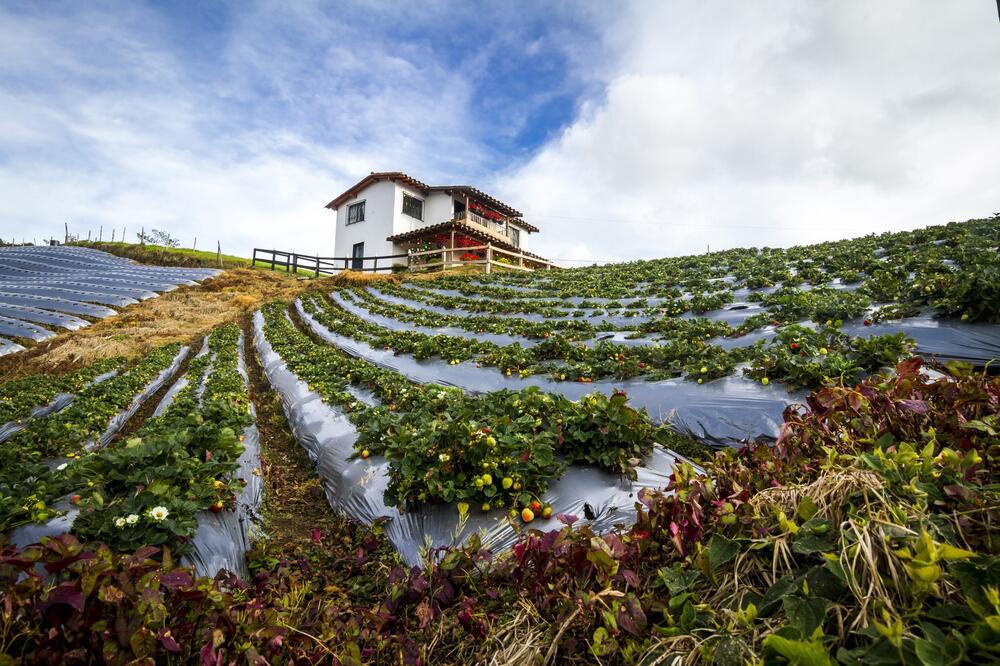 Evo kako da u Srbiji zaradite dobre pare u aprilu! Novac odmah leže na račun, a ulaganje je minimalno