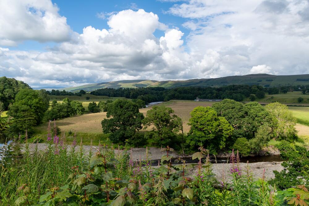 Još samo 7 dana za prijavljivanje! Država daje 2,9 miliona dinara po projektu, ovo su svi uslovi