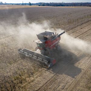Stiže nova pomoć države! Danas počinju prijave za podsticaje od 18.000 dinara po hektaru, ovo su detalji