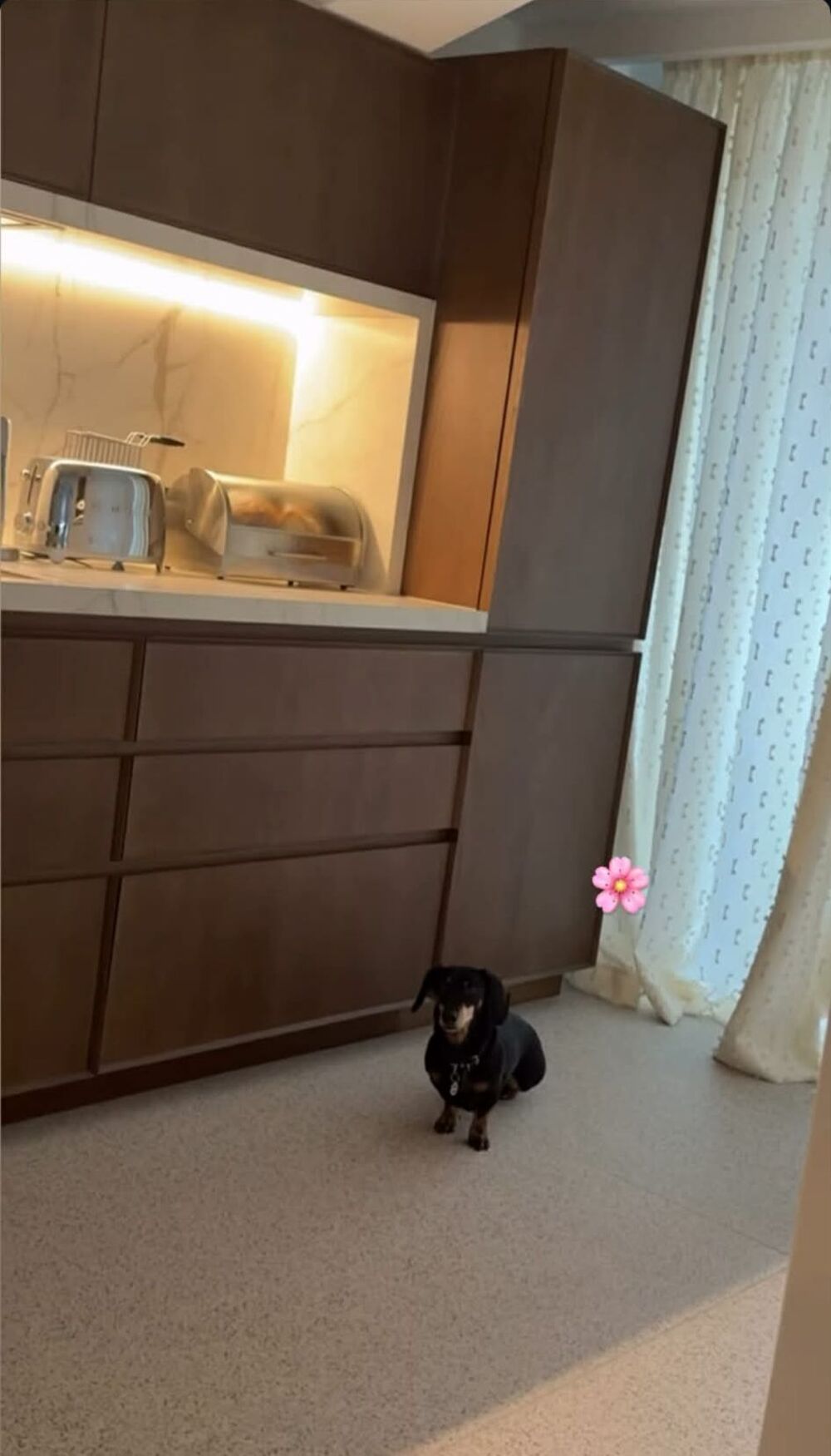 Jelisaveta Orašanin