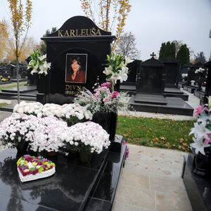 KARLEUŠA SAZNALA DA JE DIVNA UMRLA I OŠIŠALA SE DO GLAVE! 7 godine od smrti - umrla gledajući kako RAZAPINJU ĆERKU