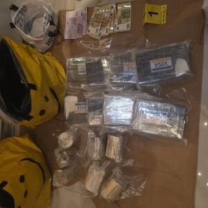 SKLADIŠTE DROGE PRONAĐENO U STANU U PANČEVU: Mladić (24) odmah uhapšen, evo šta je sve držao!