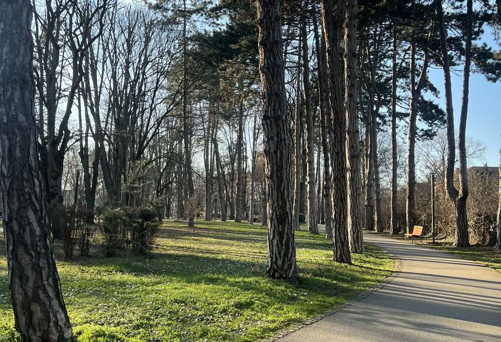 Veliki gradski park poneće ime Milice Rakić