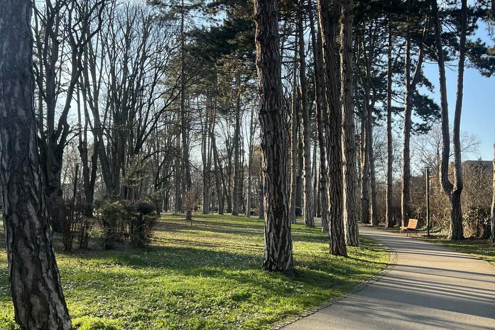 Dva parka u centru ovog grada konačno dobijaju imena: Evo po kome će nositi nazive