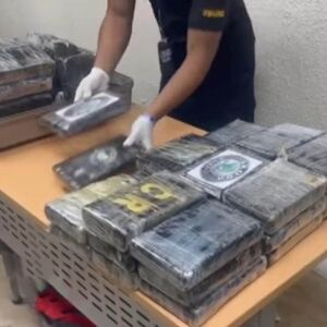 Srpske "mule" među najtraženijima na svetu: Drogu švercuju kao na filmovima, a ove cake koriste! (FOTO)