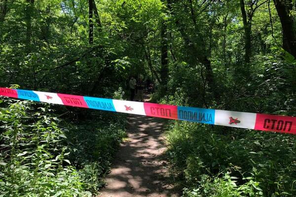 Ljudi češljaju šumu u potrazi za Ljubicom: Ovo je njen razgovor pred nestanak