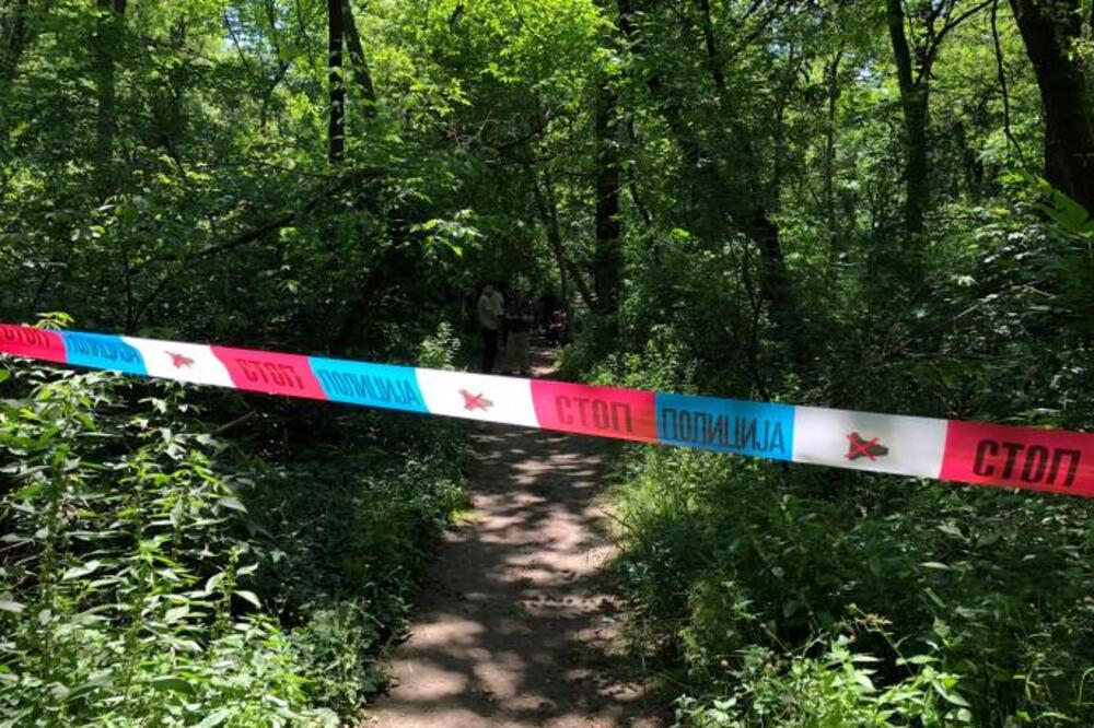 Ljudi češljaju šumu u potrazi za Ljubicom: Ovo je njen razgovor pred nestanak