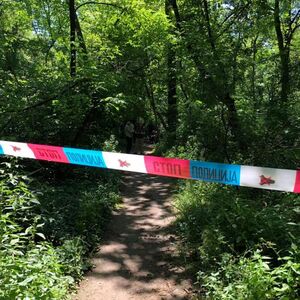 Ljudi češljaju šumu u potrazi za Ljubicom: Ovo je njen razgovor pred nestanak