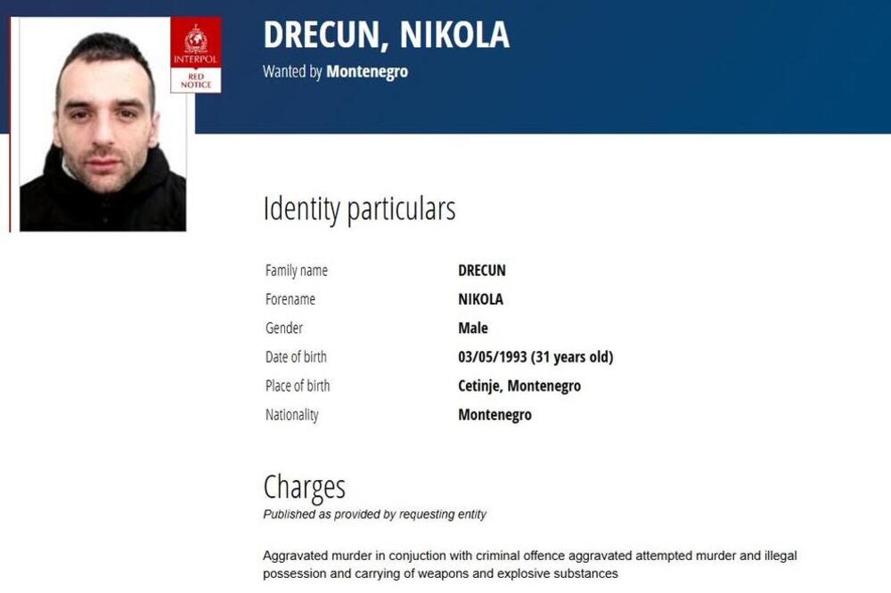 Nikola Drecun 
