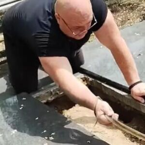 VLADICA IZVUKAO ZMIJU IZ GROBA! Sablasan prizor: Ovakva ZVER NIJE VIĐENA, gledajte šta je GOLIM RUKAMA URADIO!