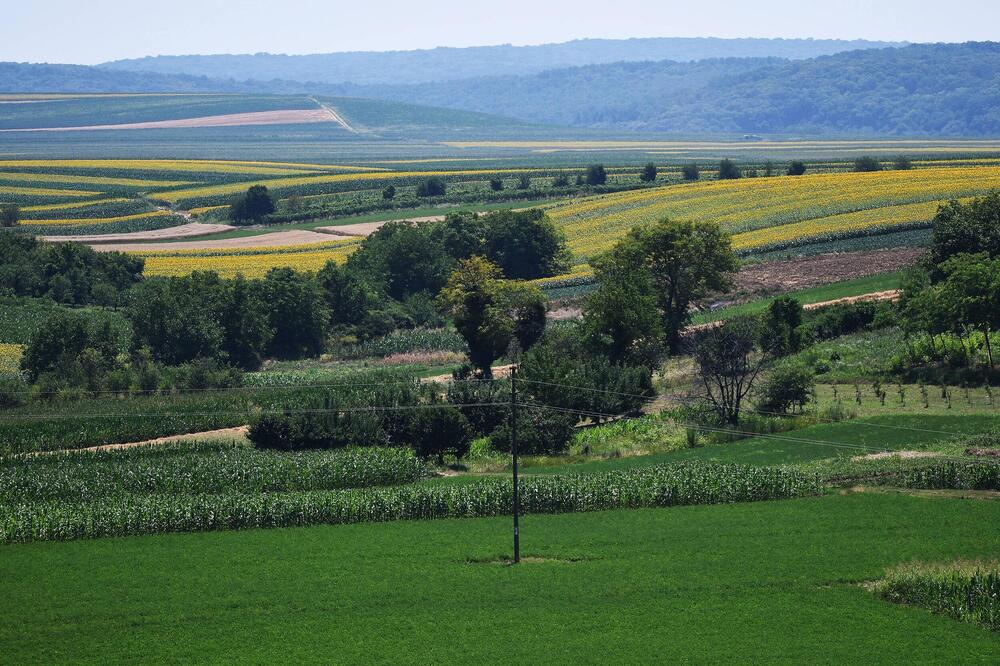U ovom delu Srbije vikendice se prodaju za pola miliona evra: Cene totalno podivljale, a biznis cveta!
