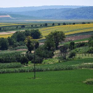 U ovom delu Srbije vikendice se prodaju za pola miliona evra: Cene totalno podivljale, a biznis cveta!