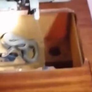 VLADICA OTVORIO STARU ŠIVAĆU MAŠINU, A U NJOJ ZMIJA! Izvukao NOVOG JEZIVOG GMIZAVCA, gledajte ŠTA JE URADIO SA NJIM