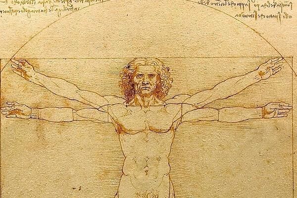 Da li ste videli skriveni detalj u preponama na crtežu? Rešava 500 godina staru misteriju Leonarda da Vinčija!