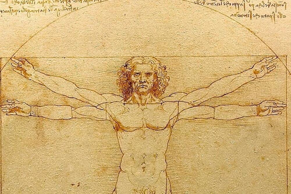 Da li ste videli skriveni detalj u preponama na crtežu? Rešava 500 godina staru misteriju Leonarda da Vinčija!