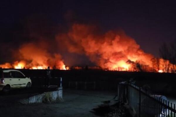 Ogroman požar između Beočina i Rakovca: Pakleni prizor se vidi desetinama kilometara (FOTO)