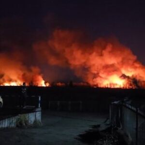 Ogroman požar između Beočina i Rakovca: Pakleni prizor se vidi desetinama kilometara (FOTO)