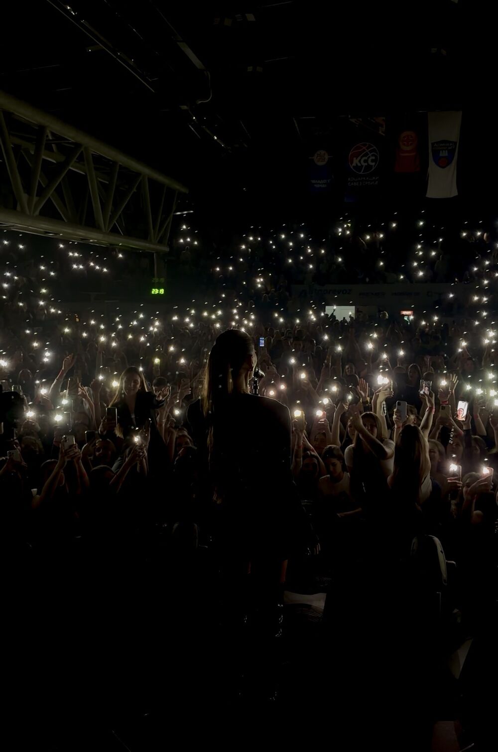 Ceca Ražnatović, Svetlana Ceca Ražnatović