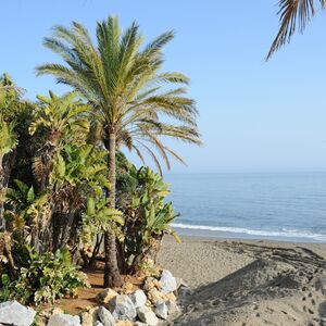 Turisti masovno odlaze na ovu destinaciju, niko više neće na Kipar i u Grčku! Postoje direktni letovi za ovaj RAJ!