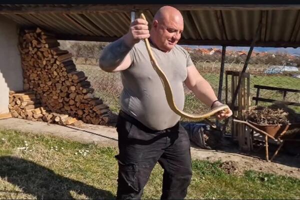 VLADICA IMAO ŽESTOKU AKCIJU KOD VRANJA! Legao na zemlju pa izvukao GRDOSIJU od 2 metra, stiže nam prava NAJEZDA