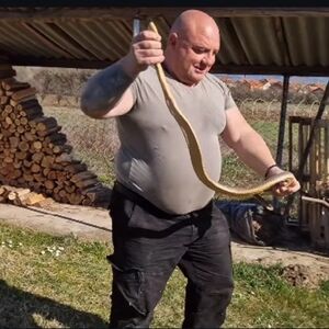 VLADICA IMAO ŽESTOKU AKCIJU KOD VRANJA! Legao na zemlju pa izvukao GROSIJU od 2 metra, stiže nam prava NAJEZDA FOTO