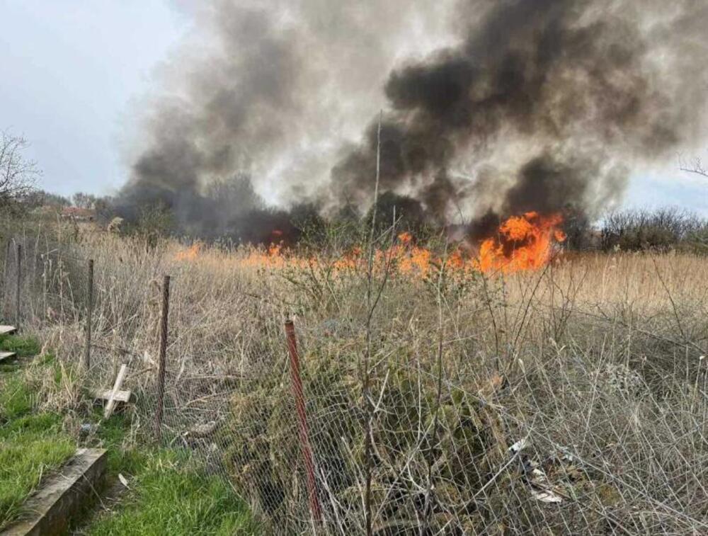 Buktinja gutala nisko rastinje u Kikindi, vatrogasci branili groblje od požara koja se munejvito širio