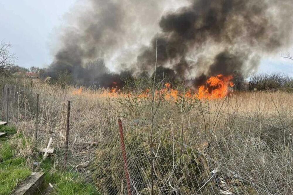 Buktinja gutala nisko rastinje u Kikindi, vatrogasci branili groblje od požara koja se munejvito širio