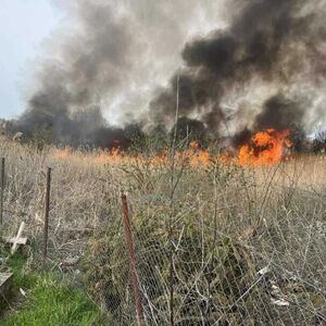 Buktinja gutala nisko rastinje u Kikindi, vatrogasci branili groblje od požara koja se munejvito širio