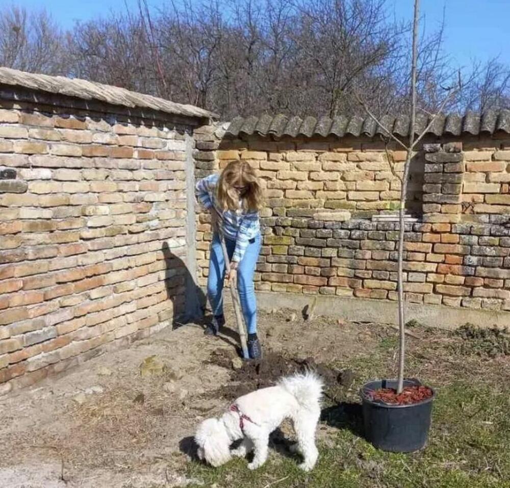 BEOGRAD ZAMENILA OVOM LEPOTOM: Voditeljka danas uzgaja voće i povrće, a evo koliko je platila za ovaj raj