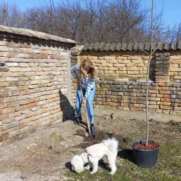 BEOGRAD ZAMENILA OVOM LEPOTOM: Voditeljka danas uzgaja voće i povrće, a evo koliko je platila za ovaj raj