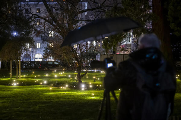 Da li smo mi poslednja generacija koja ih vidi?! Nekad su ih bila puna dvorišta, a sad na ivici da izumru!